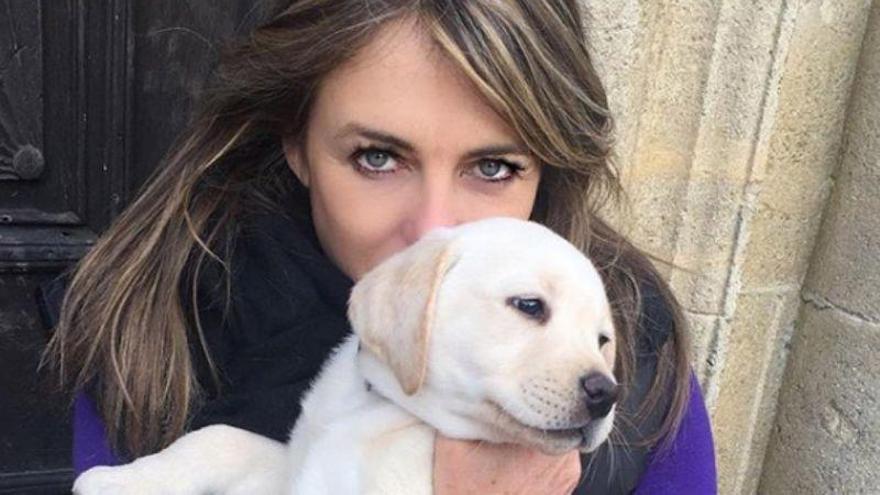 Amazon indemniza a Liz Hurley tras el atropello de su perro