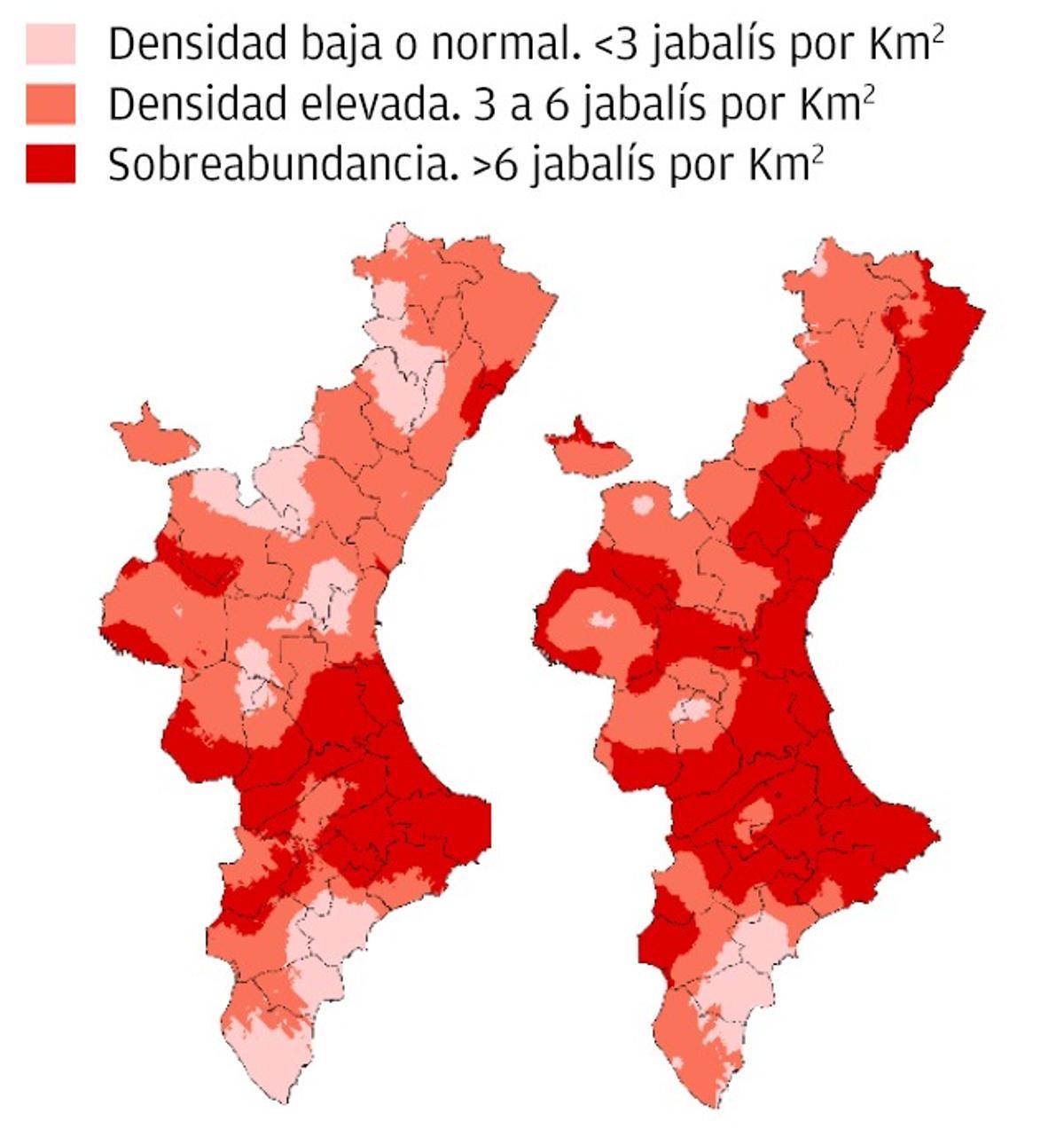 Un lustro de crecimiento del jabalí en la Comunitat Valenciana