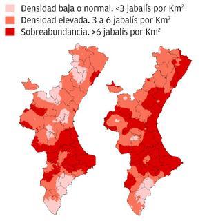 Un lustro de crecimiento del jabalí en la Comunitat Valenciana