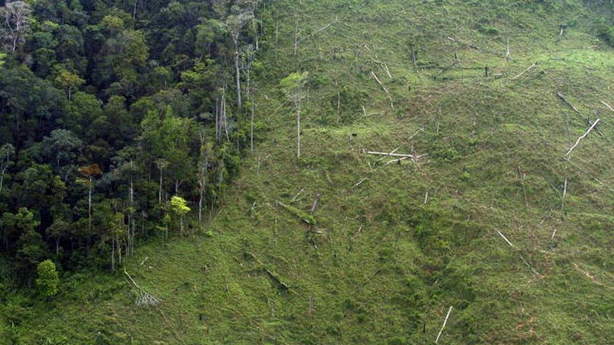 Vista aérea de uno de varios sectores deforestados de la Reserva de la Humanidad y Biosfera del Río Plátano, en una imagen de archivo.