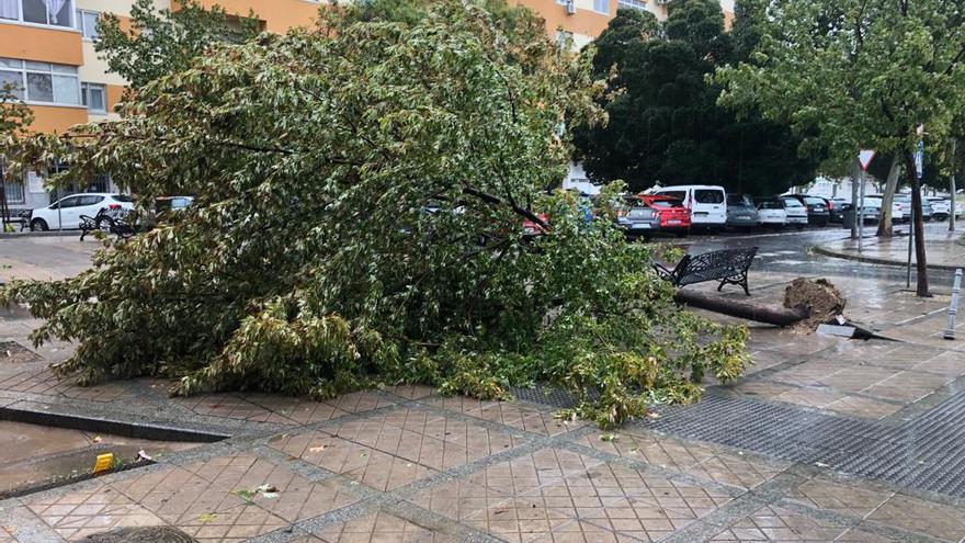Fotogalería | Así afecta el temporal de lluvia y viento en Cáceres: Calle Antonio Floriano Cumbreño
