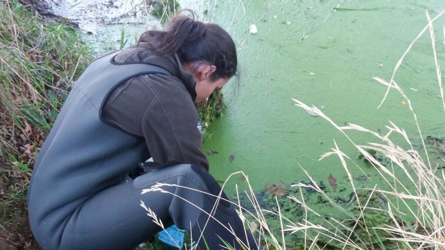 Un equipo de la EE Forestal de Pontevedra diseña un sistema de alerta temprana de cianobacterias en embalses
