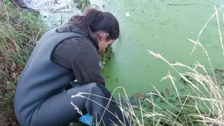 Un equipo de la EE Forestal de Pontevedra diseña un sistema de alerta temprana de cianobacterias en embalses