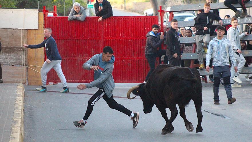 Torreblanca vibra con los toros en sus fiestas de San Antonio y Santa Lucía