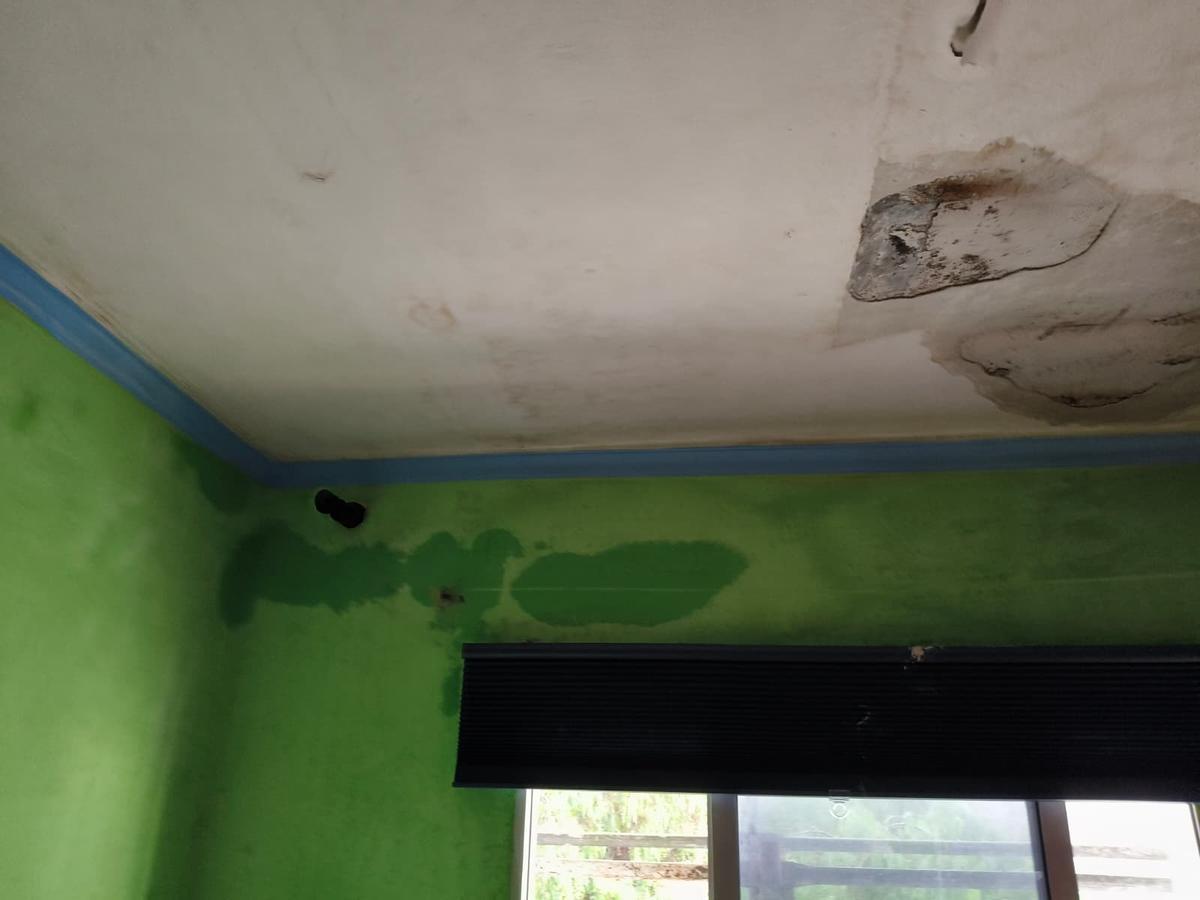 Goternas en la pared y en el techo de la vivienda, en diciembre