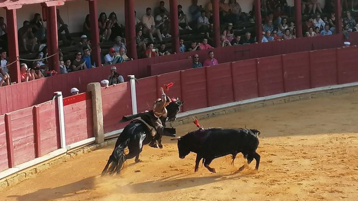 Lea Vicens atrae al toro a las tablas para colocar una banderilla corta. | M. J. C.