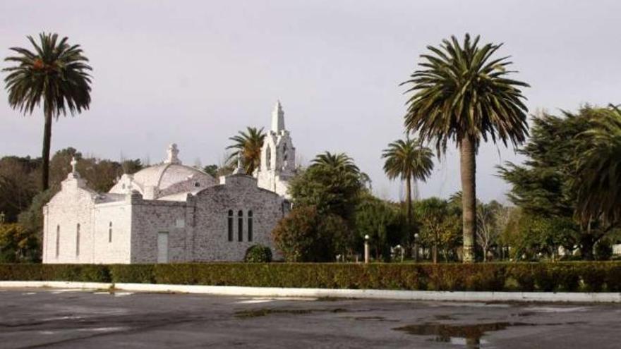 Una vista de los jardines de A Toxa y sus portentosas palmeras. En el recuadro inferior, un picudo. // Muñiz