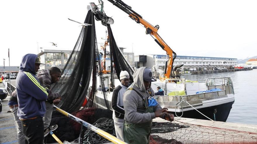 La pesca con redes empezó ¡hace casi 30.000 años! - Faro de Vigo