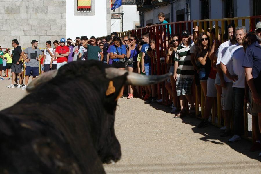 Encierro en Bermillo