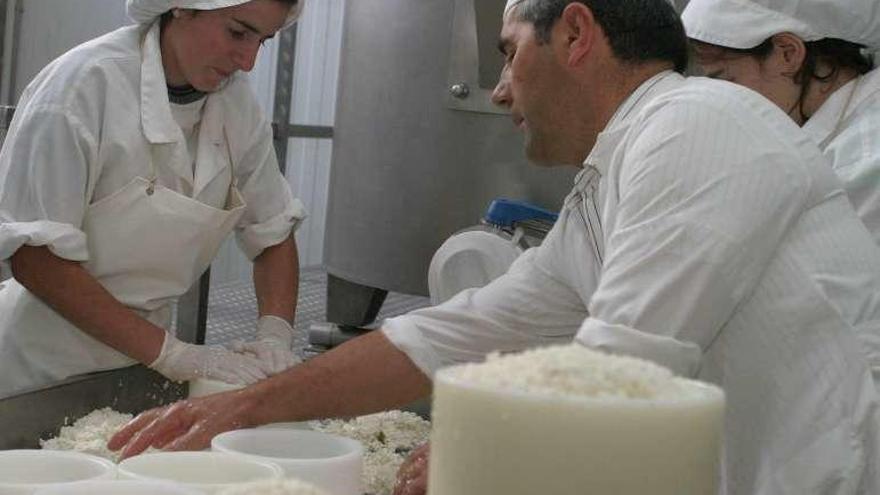 Agricultura organiza un curso de elaboración de queso artesanal - La  Opinión de Zamora