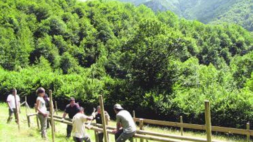 Miembros de FAPAS construyen una estación de polinización en Caso.