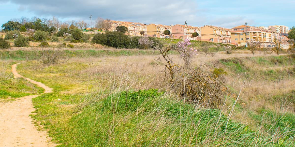 Estado actual de parte del ámbito de estudio para la nueva fase de Els Vilars, en Bocairent.