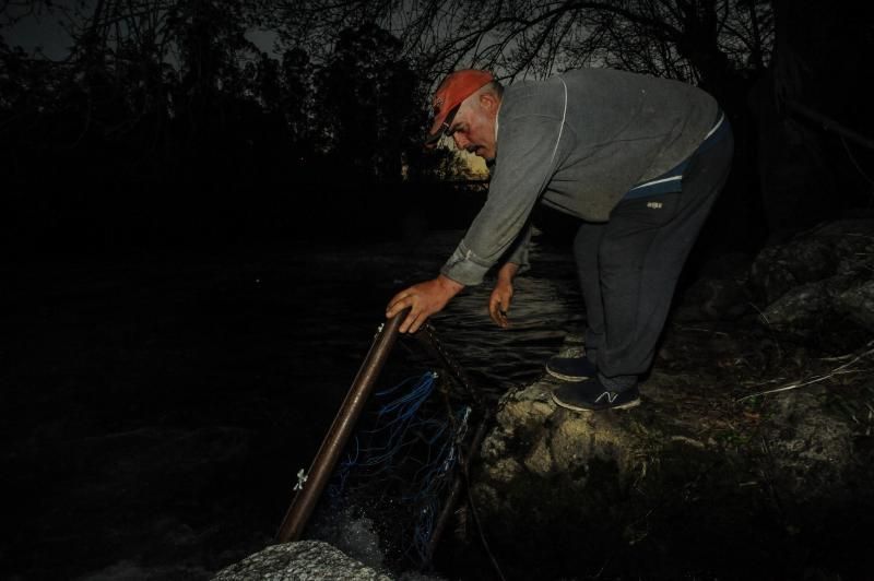 El arriesgado trabajo en las pesqueiras del Ulla.