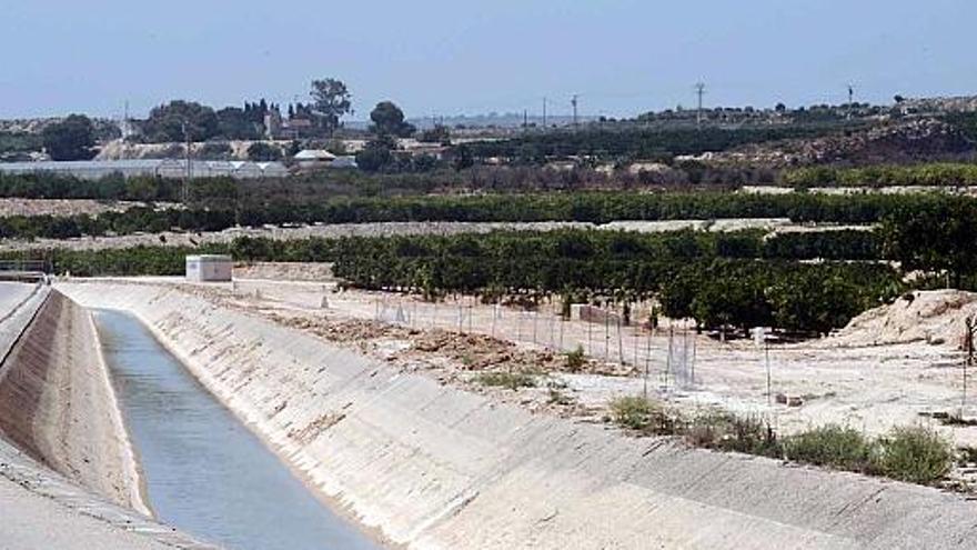 Vista panorámica del sur de Almoradí, cubierto de cítricos y que &quot;mira&quot; a las lagunas de Torrevieja. El nuevo PGOU elimina cuatro proyectos en esta zona.