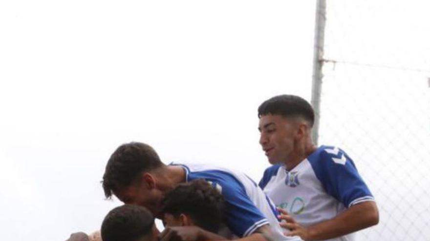 Piña de los blanquiazules para celebrar un gol. | | CD TENERIFE