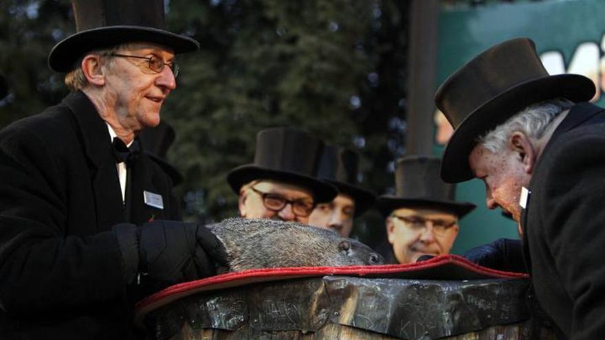 La marmota Phil sale de su guarida en Punxsutawney