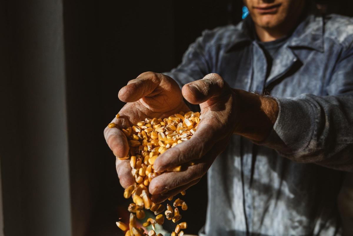 El legado de la tierra.