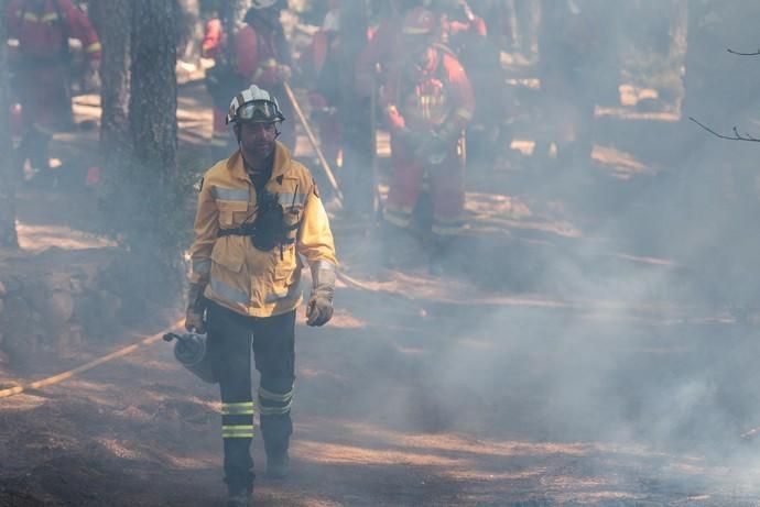 La UME realiza prácticas de prevención de incendios en Gran Canaria