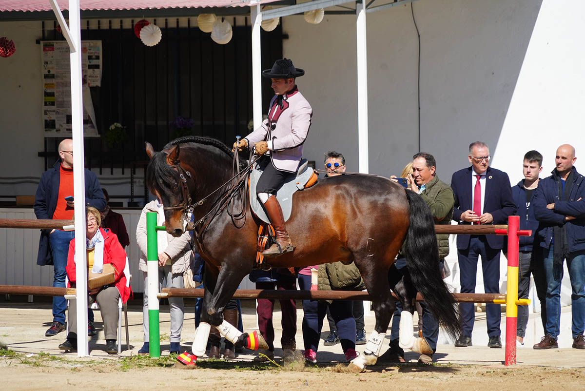 Abre la Feria de la Construcción de Hinojosa del Duque