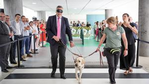 Una exhibición de perros guía abre la Semana del Grupo Social ONCE en Andalucía.