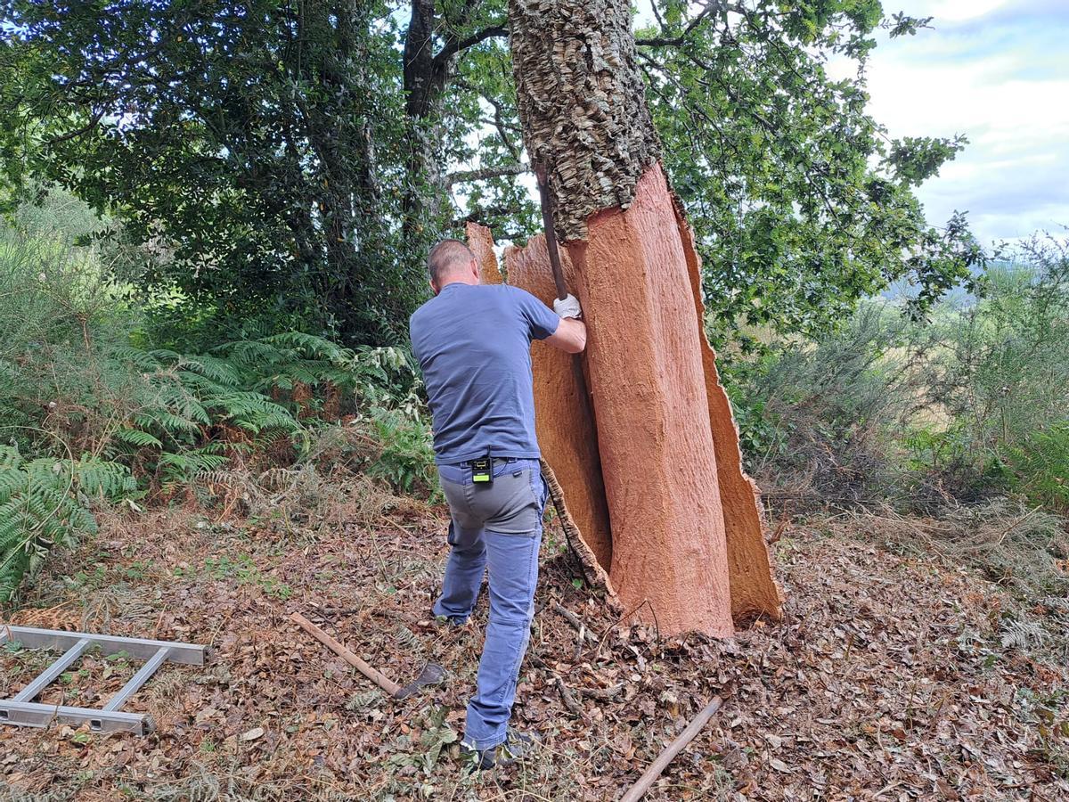 El último descorchador de O Deza El último descorchador de O Deza