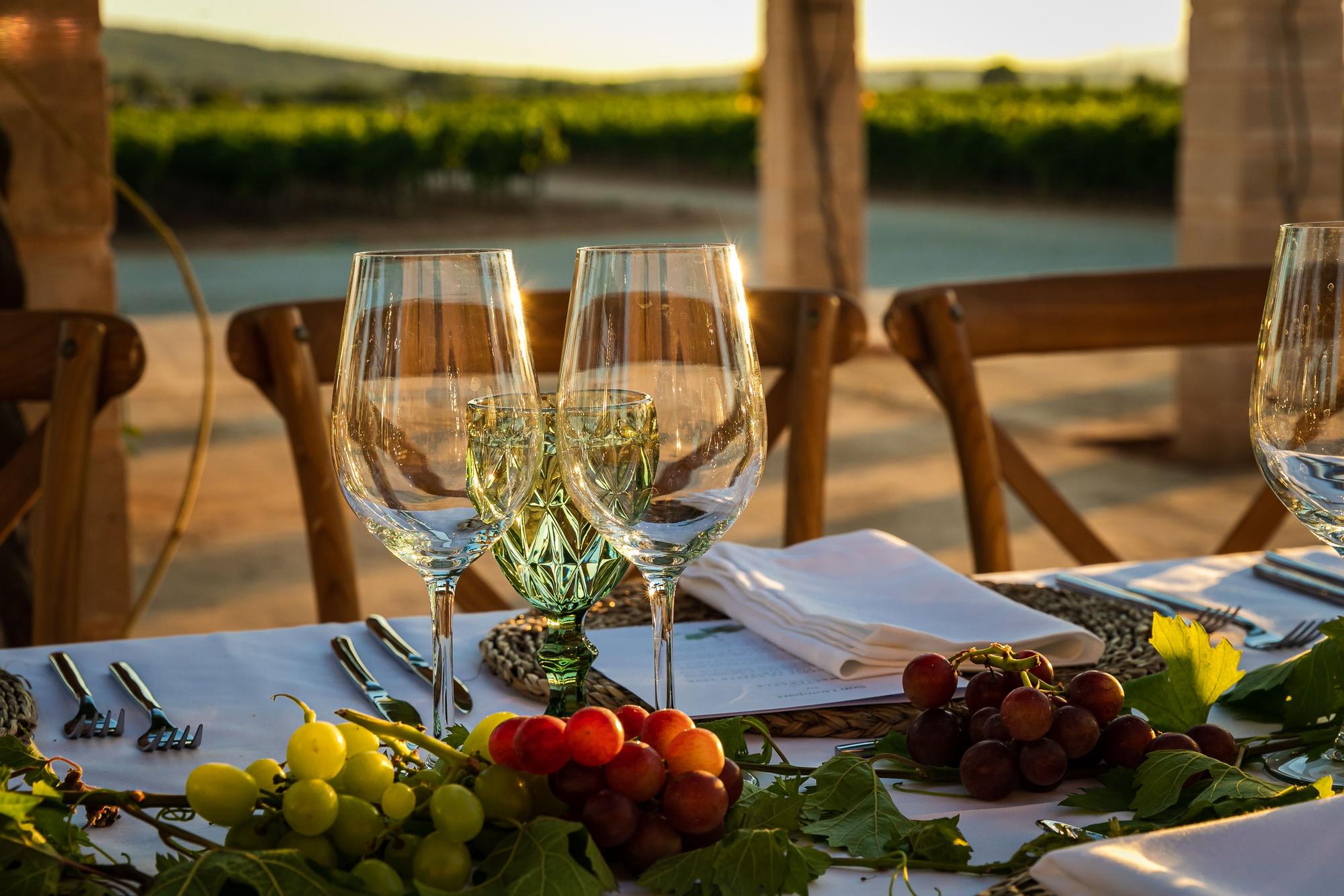 Una finca con viñedo propio donde podréis disfrutar de vuestro gran día rodeados de naturaleza y acompañados de los mejores vinos.