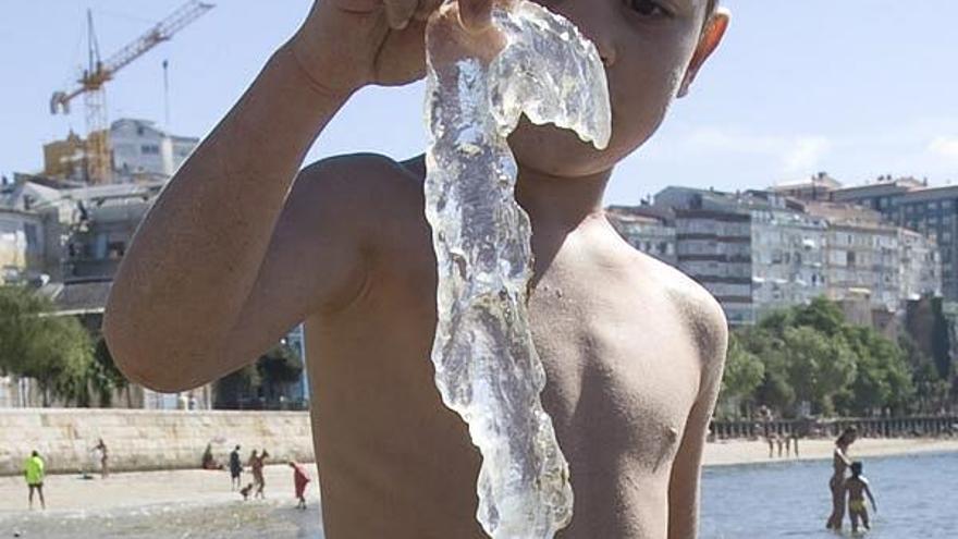 Un niño en la playa de Bouzas coge una de las medusas que apareció ayer en el arenal.