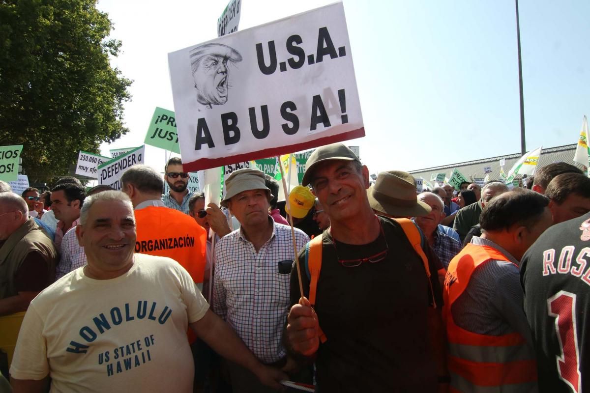 Córdoba se suma a la gran manifestación del olivar en Madrid