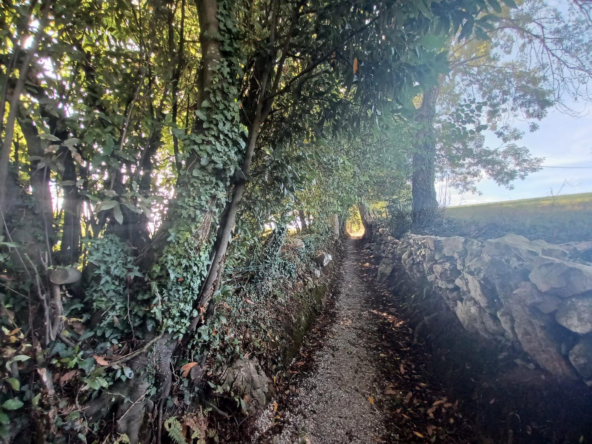La ruta de Los Covarones, las mil y una estampas de cuento de la senda más visitada de Llanera