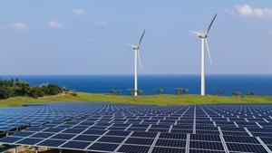 Los paneles solares dejan inservible el suelo agrícola, según un bulo