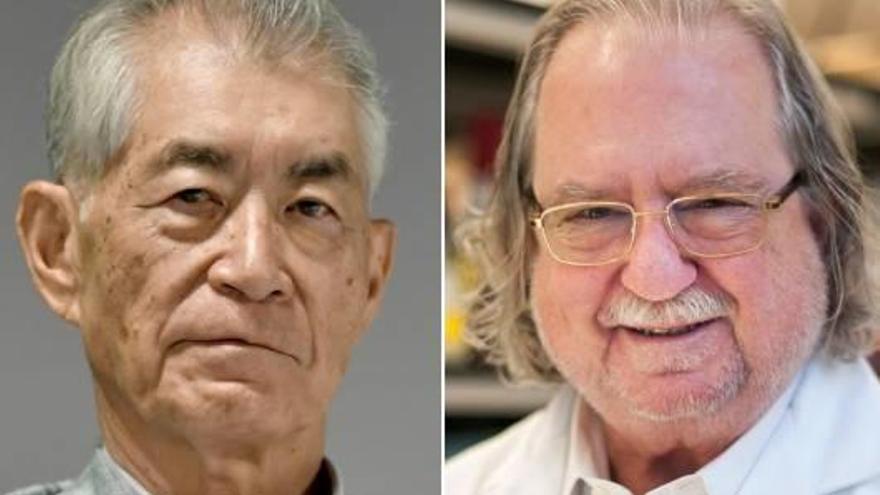 El japonès Tasuku Honjo i el nord-americà James P. Allison.