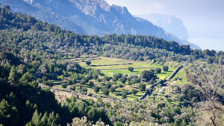 Cuatro rutas por la Serra de Tramuntana con vistas al mar