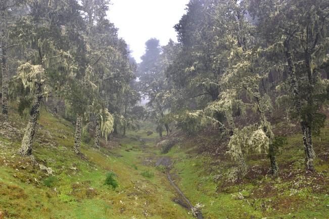 LLUVIA Y FRIO MEDIANIAS Y CUMBRE