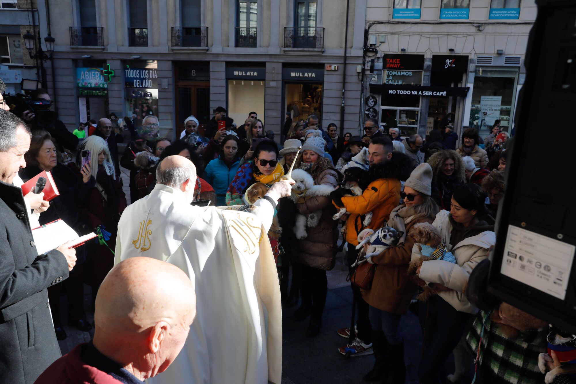 EN IMÁGENES: Bendición de mascotas por San Antón en la basílica de San Juan de Oviedo