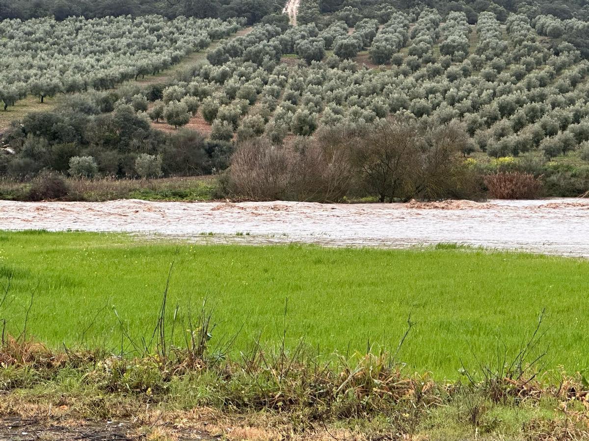 El río Guadalhorce, a su paso por Villanueva del Rosario