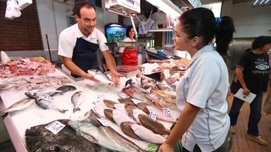 La dorada, la captura más deseada del mar