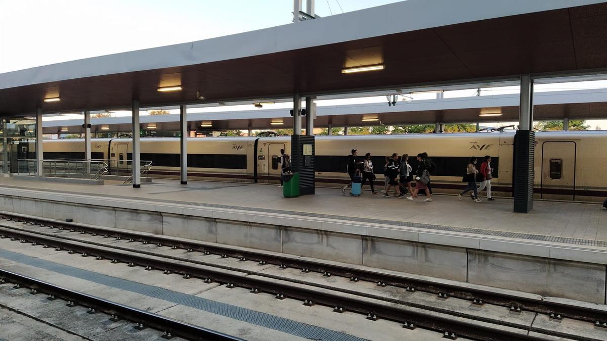 Viajeros del tren en la estación de Zamora