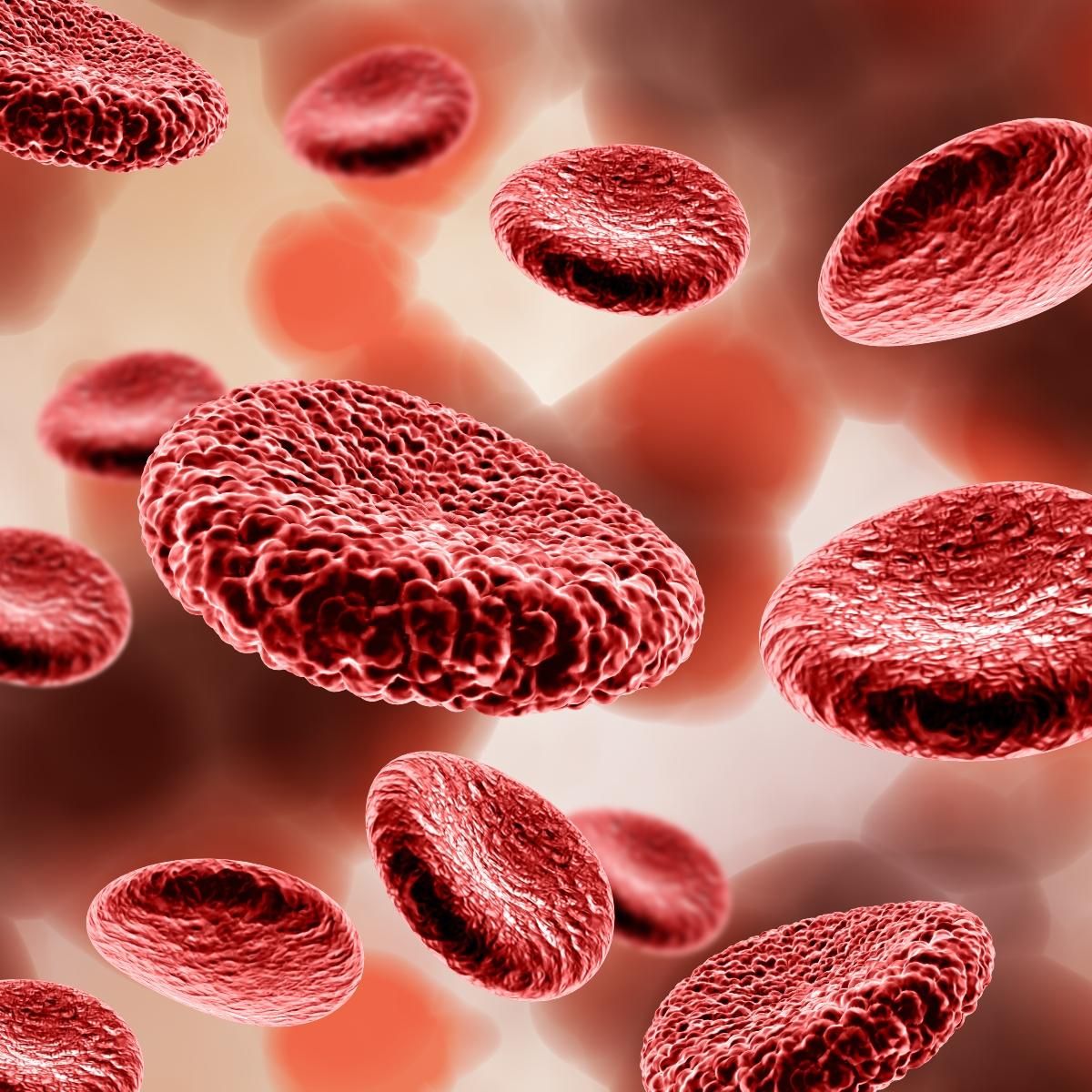Colesterol y triglicéridos: qué significan tus niveles en sangre y cómo mejorarlos con alimentación