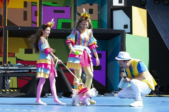 24.02.19. Las Palmas de Gran Canaria. Carnaval 2019. Concurso Carnaval Canino 2019. Sonia Esther Fuentes Pérez e Ingrid Ortega Fuentes, presentan a Doky, con la fantasía "Rumberas...al loro con el carnaval". Foto Quique Curbelo