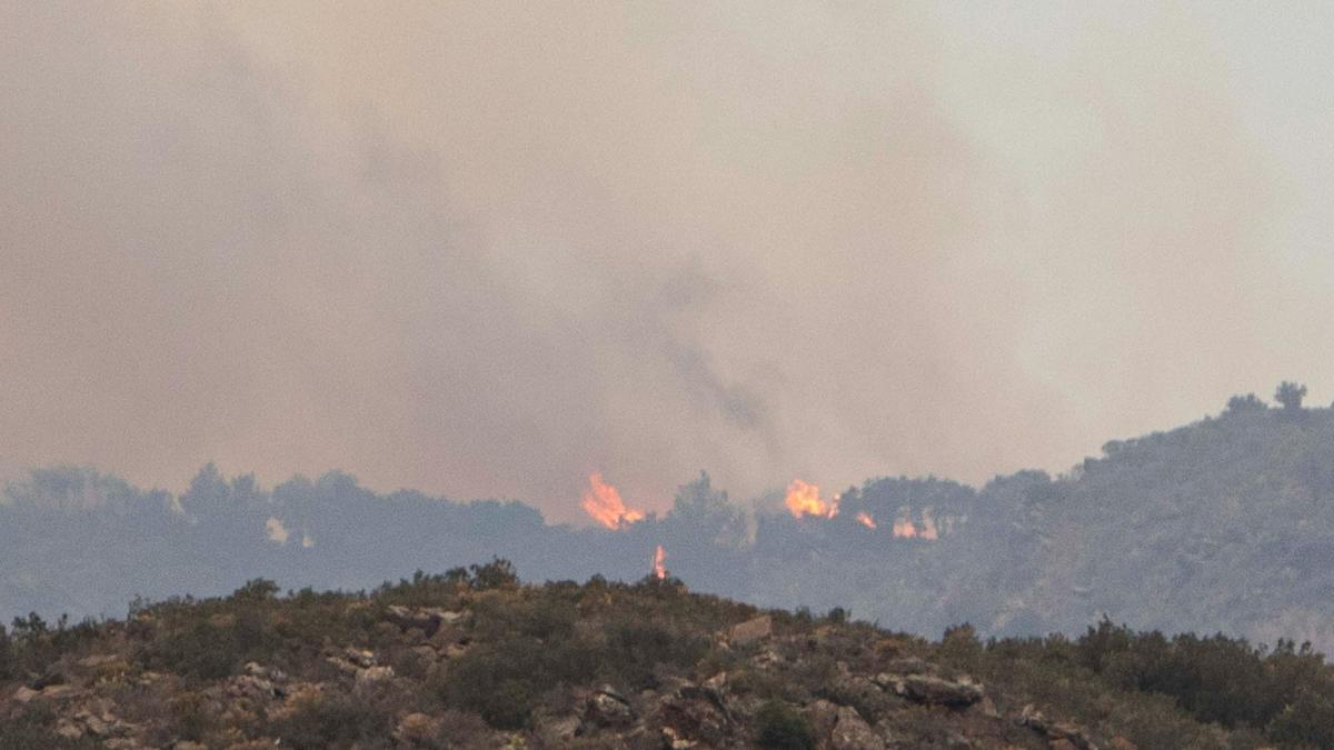 El violent incendi procedent de França crema prop de 1.000 hectàrees i arriba al parc de l’Albera