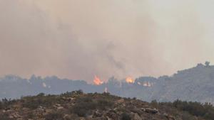 Imágenes aéreas del virulento incendio forestal que se ha originado en Francia y que quema en Catalunya, en los alrededores de Portbou