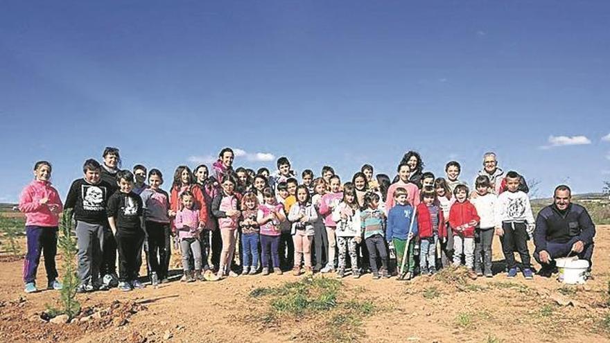 Los escolares se van de plantación