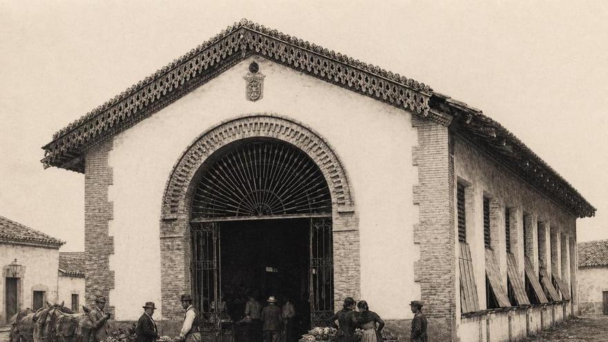 Elche en 1888: la ciudad que quería avanzar mientras enfermaba
