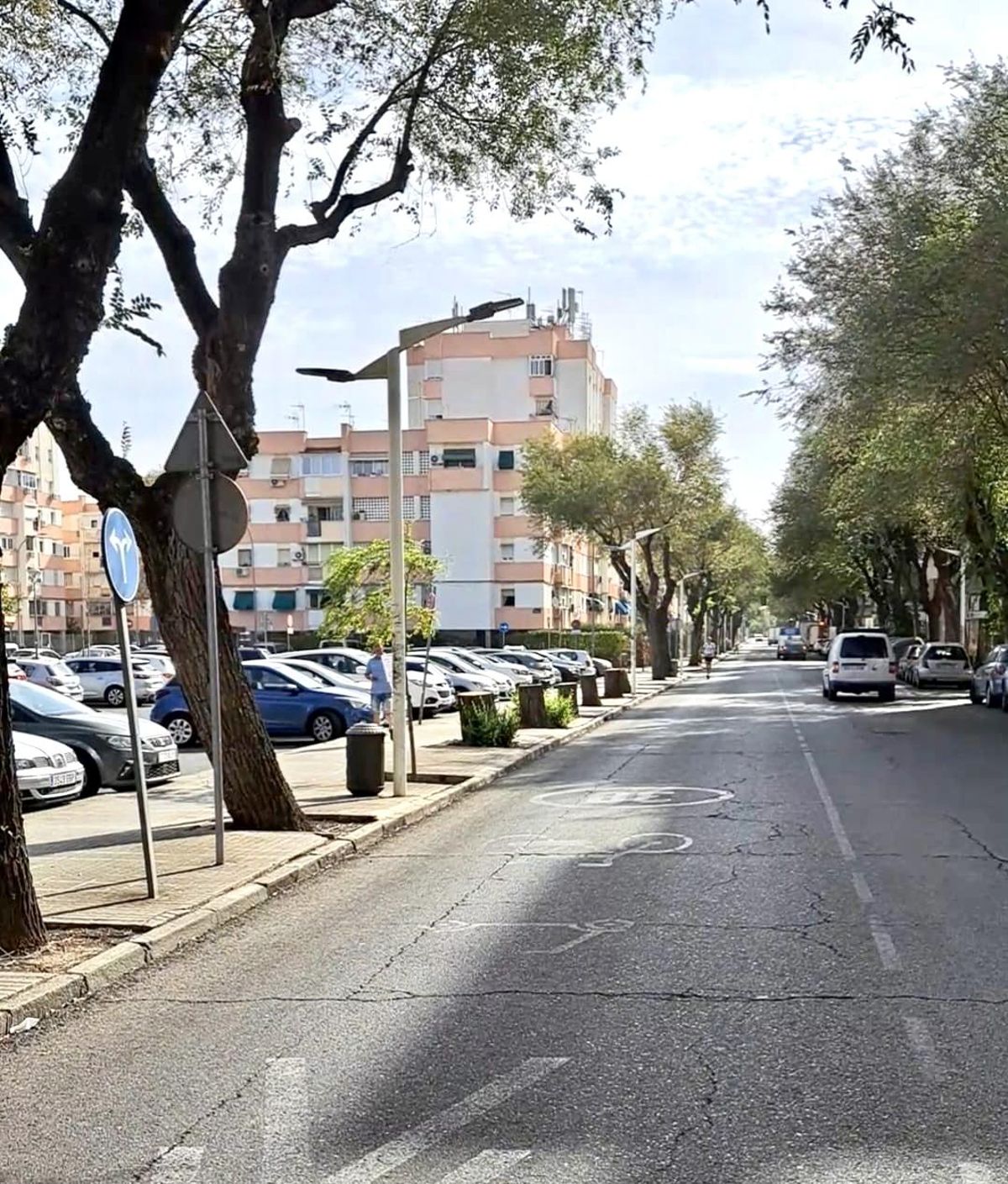 Infraestructuras adjudica la obra de remodelación de la avenida Virgen Milagrosa