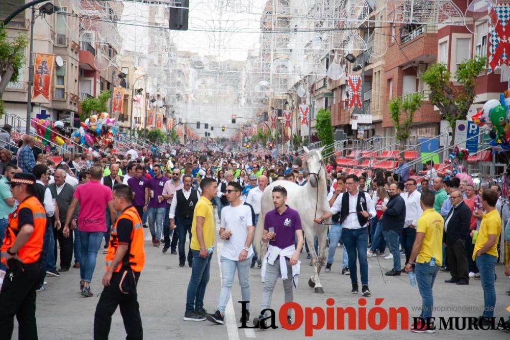 Caballos del Vino: Concurso morfológico (salida Pl