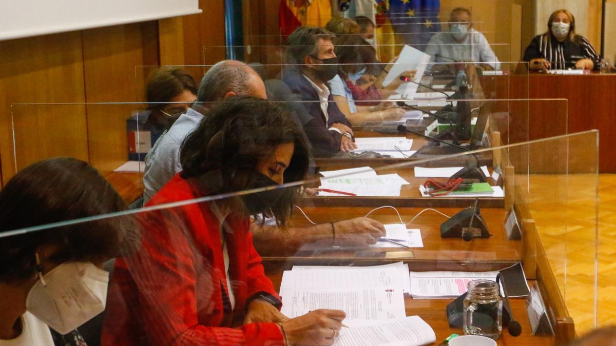 Del gobierno acudieron todos los concejales y de la oposición faltó una edil del PP y el portavoz de Ciudadanos.