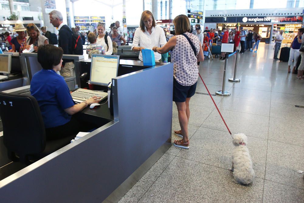 Operación salida en el aeropuerto de Málaga