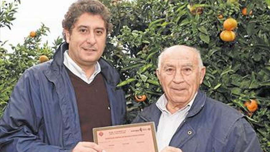 Los agricultores de Castellón podrán arrendar sus tierras