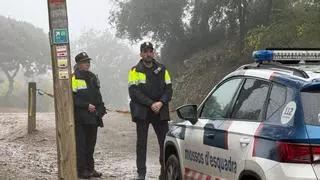 La lluvia vacía Collserola en el primer sábado de cierre por la peste porcina africana