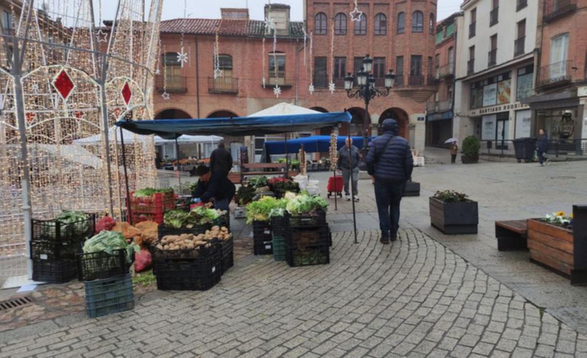 Algunos de los puestos del mercado de verduras. | E. P.